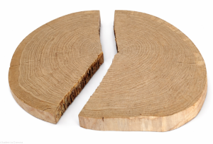 Plaster drewna dąb bez kory 47-53 / 4 cm - w kawałkach pod żywicę