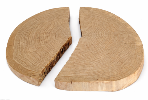 Plaster drewna dąb bez kory 47-53 / 4 cm - w kawałkach pod żywicę