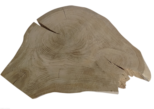 Plaster drewna Dąb szlifowany 50-63 cm / 5 cm  UNIKAT