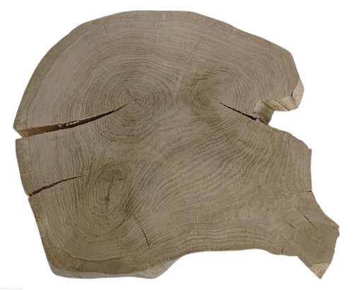 Plaster drewna Dąb szlifowany 50-64 cm / 5 cm  UNIKAT