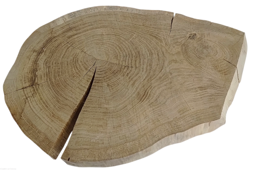 Plaster drewna Dąb szlifowany 51-76 cm / 5 cm  UNIKAT okazja