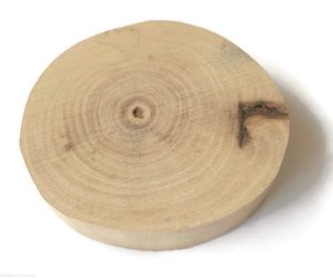 Plaster drewna Orzech włoski szlifowany 12-14 cm / 2 cm BEZ KORY