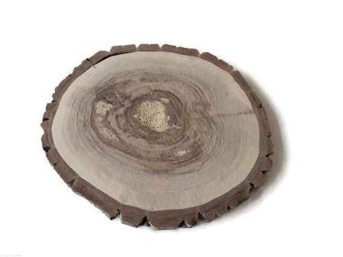 Plaster drewna Orzech włoski szlifowany 25-28 cm / 2 cm 