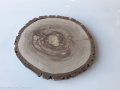 Plaster drewna Orzech włoski szlifowany 25-28 cm / 2 cm 