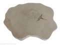 Plaster drewna Brzoza szlifowana 37-43 cm / 4 cm  UNIKAT bez kory