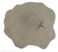 Plaster drewna Brzoza szlifowana 37-43 cm / 4 cm  UNIKAT bez kory