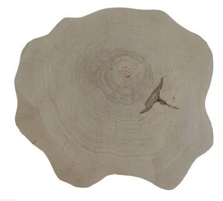 Plaster drewna Brzoza szlifowana 37-43 cm / 4 cm  UNIKAT bez kory