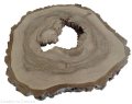 Plaster drewna Orzech włoski szlifowany 41-47 cm / 3,8 cm UNIKAT