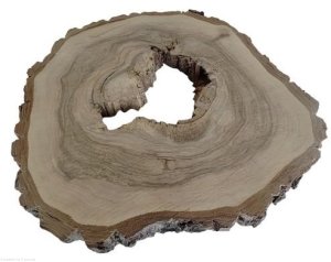 Plaster drewna Orzech włoski szlifowany 41-47 cm / 3,8 cm UNIKAT