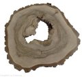 Plaster drewna Orzech włoski szlifowany 41-47 cm / 3,8 cm UNIKAT