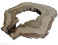 Plaster drewna Orzech włoski szlifowany 41-50 cm / 3,8 cm UNIKAT