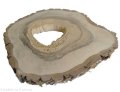 Plaster drewna Orzech włoski szlifowany 35-40 cm / 3,5 cm pod żywicę