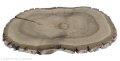 Plaster drewna Orzech włoski szlifowany 30-50 cm / 3,5 cm UNIKAT