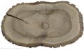 Plaster drewna Orzech włoski szlifowany 30-50 cm / 3,5 cm UNIKAT