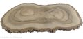 Plaster drewna Orzech włoski szlifowany 30-60 cm / 3,5 cm UNIKAT