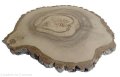 Plaster drewna Orzech włoski szlifowany 40-45 cm / 3 cm UNIKAT