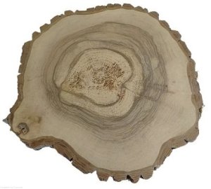 Plaster drewna Orzech włoski szlifowany 40-45 cm / 3 cm UNIKAT