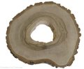 Plaster drewna Orzech włoski szlifowany 30-35 cm / 3,5 cm pod żywicę