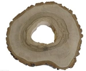 Plaster drewna Orzech włoski szlifowany 30-35 cm / 3,5 cm pod żywicę