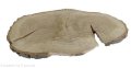 Plaster drewna Dąb szlifowany 29-45 cm / 3 cm UNIKAT