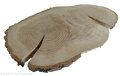 Plaster drewna Dąb szlifowany 29-45 cm / 3 cm UNIKAT
