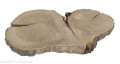 Plaster drewna Dąb szlifowany 25-48 cm / 3 cm UNIKAT