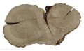 Plaster drewna Dąb szlifowany 25-48 cm / 3 cm UNIKAT