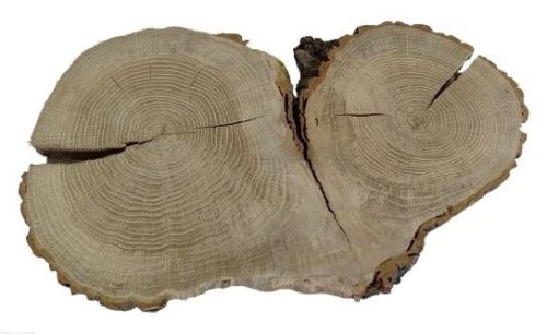 Plaster drewna Dąb szlifowany 25-48 cm / 3 cm UNIKAT