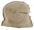 Plaster drewna Dąb szlifowany 32-39 cm / 3 cm UNIKAT