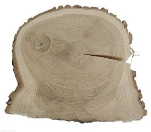 Plaster drewna Dąb szlifowany 32-39 cm / 3 cm UNIKAT