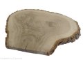 Plaster drewna Dąb szlifowany 40-45 cm / 3 cm UNIKAT
