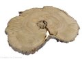 Plaster drewna Grusza szlifowana 35-46 cm / 3 cm  UNIKAT