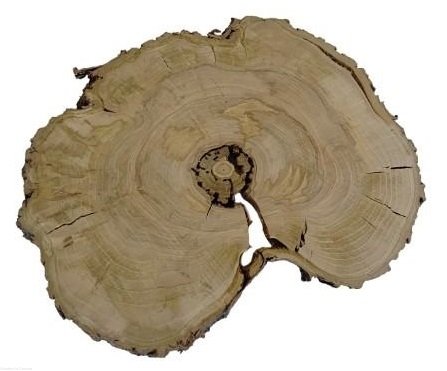 Plaster drewna Grusza szlifowana 35-46 cm / 3 cm  UNIKAT