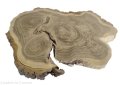 Plaster drewna Akacja szlifowana 30-47 cm / 3 cm  UNIKAT