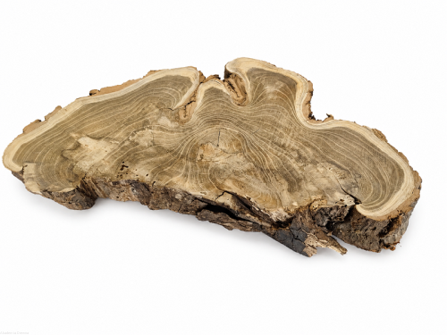 Plaster drewna Akacja szlifowana 30-50 cm / 3 cm  UNIKAT