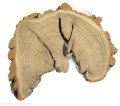 Plaster drewna Akacja szlifowana 26-40 cm / 3 cm  UNIKAT