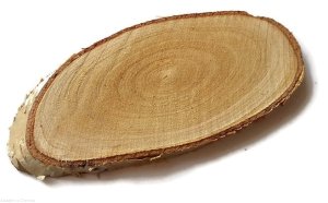 Plaster drewna Brzoza podłużny skośny 10-15 cm nieszlifowany