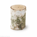 Pieniek 10 cm pień brzozowy z otoworem 20 mm do dekoracji / prac kreatywnych DIY