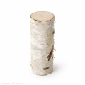 Pieniek 20 cm pień brzozowy z otoworem 20 mm do dekoracji / prac kreatywnych DIY