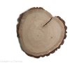 Dąb szlifowany 25-28 cm / 2 cm z ubytkami kory, z pęknięciem