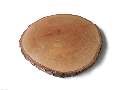 Plaster drewna Brzoza OLEJOWANA szlifowana 28-32 cm / 2,5 cm