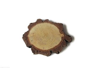 Plaster drewna Brzoza nieszlifowana gruba kora 6-8 cm / 1 cm 