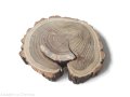 Akacja szlifowana 16-20 cm / 2 cm z pęknięciem