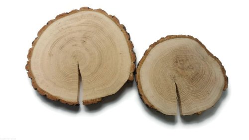 Plaster drewna Dąb szlifowany 20-25 cm / 2 cm - z pęknięciem